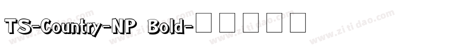 TS-Country-NP Bold字体转换